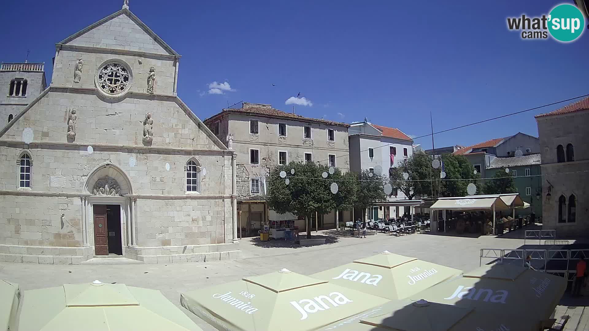  Trg Petra K. IV. Pag